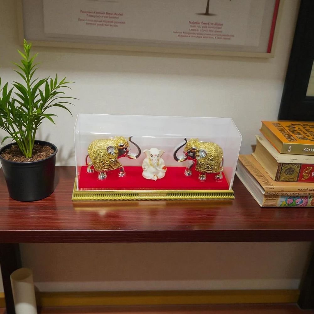 elephant idol in acrylic box