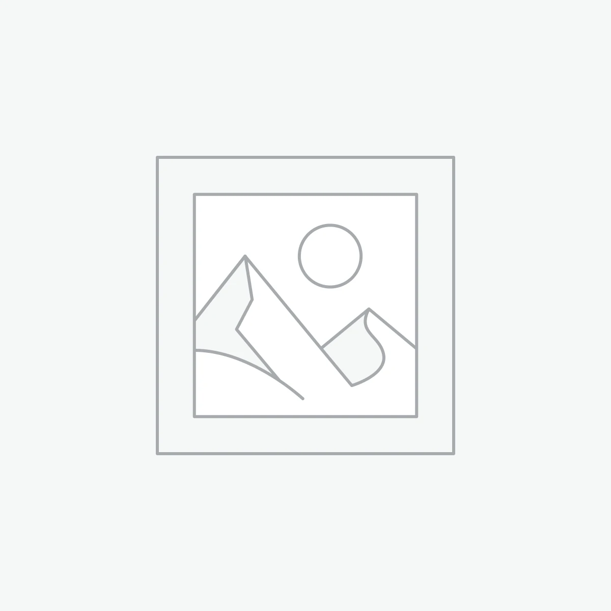 Home Wireless & Portable Speakers